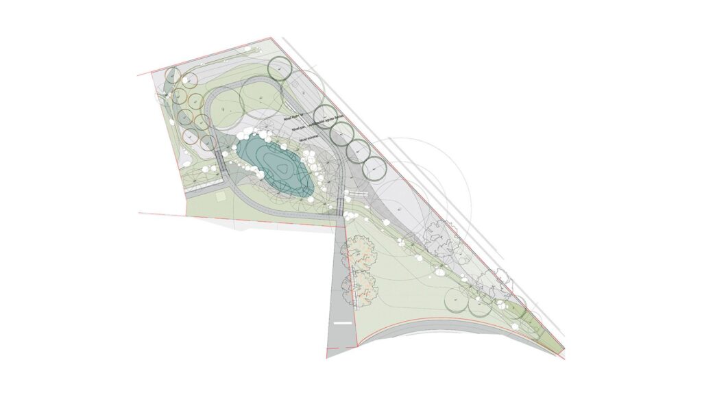 PLANTA PALMAR INUNDABLE